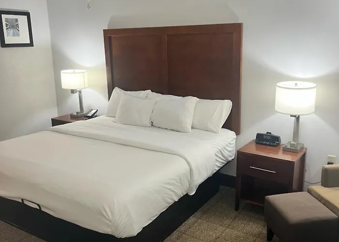 Comfort Inn & Suites Jackson North